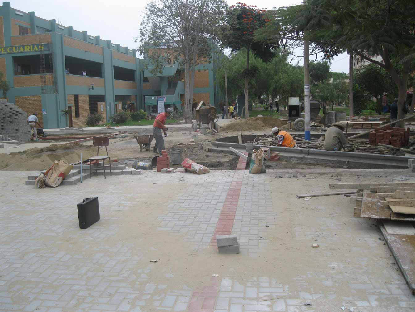 Ingresos-peatonales-06